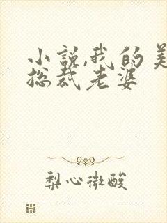 小说,我的美女总裁老婆