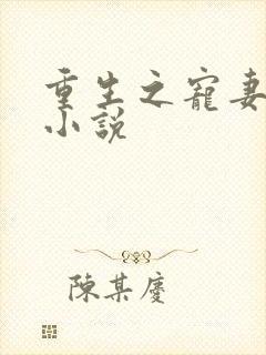 重生之宠妻如命小说