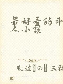 最好看的斗罗同人小说