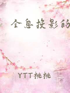 全息投影的公司