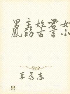 男主姓君女主姓凤的古言小说