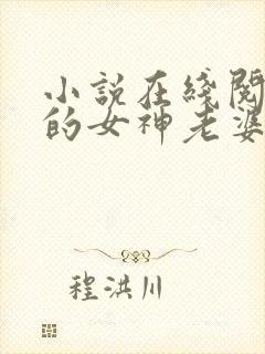 小说在线阅读我的女神老婆