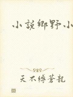 小说乡野小傻医