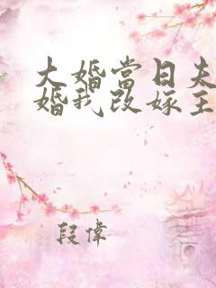 大婚当日夫君逃婚我改嫁主演