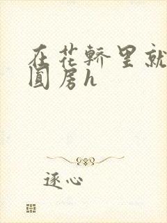 在花轿里就开始圆房h