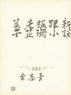 菜老板跟新婚妻子芷珊小说
