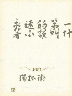 永远的第一名原著小说叫什么