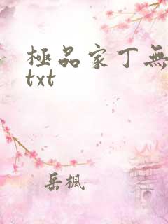 极品家丁无删减txt