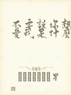 不要说你想我你爱我是什么歌