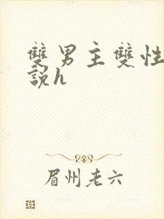 双男主双性人小说h