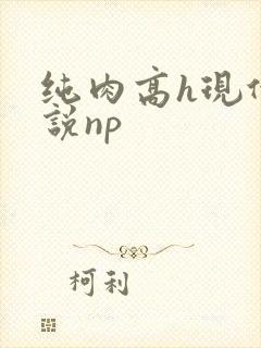 纯肉高h现代小说np