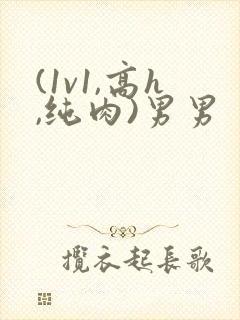 (1v1,高h,纯肉)男男