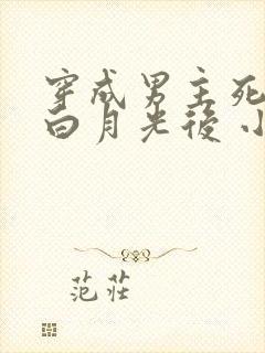 穿成男主死去的白月光后 小说