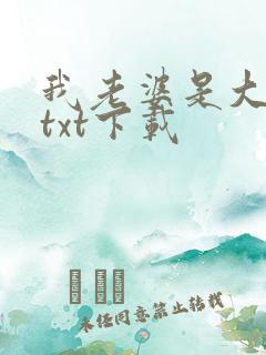我老婆是大明星txt下载