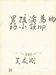 男孩沦为肉便器的小说np