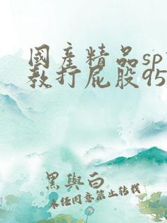 国产精品sp调教打屁股95