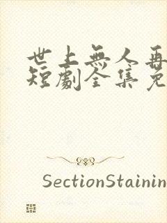 世上无人再似她短剧全集免费观看