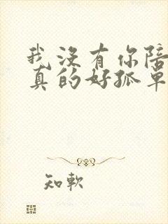 我没有你陪伴我真的好孤单