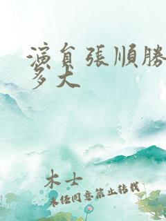 演员张顺胜年龄多大