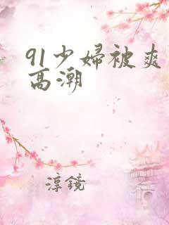 91少妇被爽到高潮