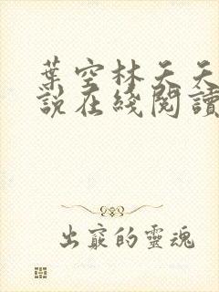 叶空林夭夭的小说在线阅读