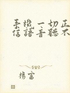 手机一切正常微信语音听不见声音