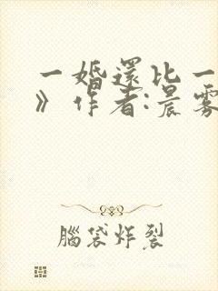 一婚还比一婚高》作者:晨雾的光