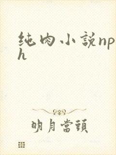 纯肉小说np高h