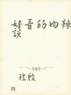 好看的肉辣文小说