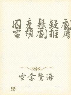 国产悬疑剧破案电视剧推荐