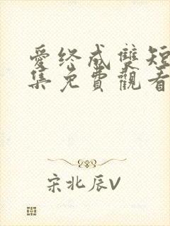 爱终成双短剧全集免费观看