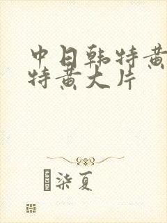 中日韩特黄特色特黄大片