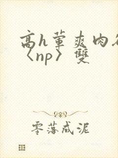 高h荤爽肉欲文〈np〉双