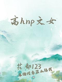 高hnp文女
