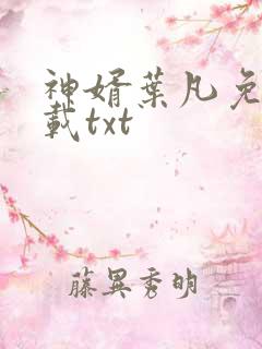 神婿叶凡免费下载txt