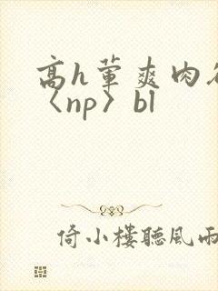 高h荤爽肉欲文〈np〉bl