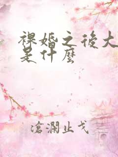 裸婚之后大结局是什么