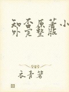 知否原著小说番外完整版