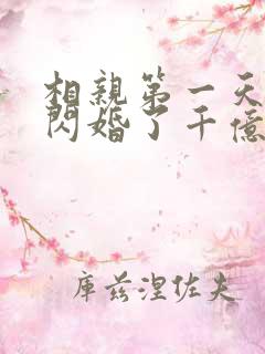 相亲第一天:我闪婚了千亿富翁