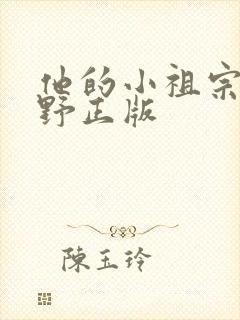 他的小祖宗甜又野正版