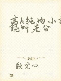 高h纯肉小说求饶叫老公