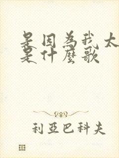 是因为我太爱你是什么歌