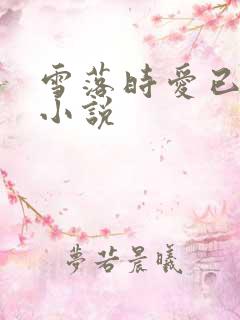 雪落时爱已落幕小说