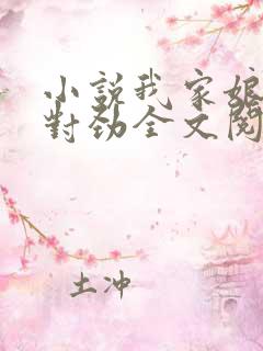 小说我家娘子不对劲全文阅读免费