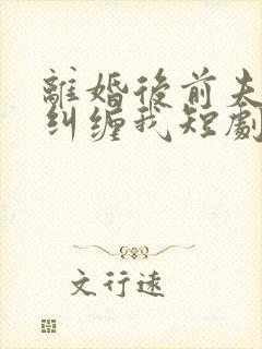 离婚后前夫总想纠缠我短剧