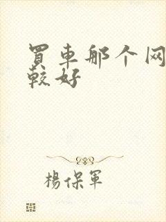 买车那个网站比较好