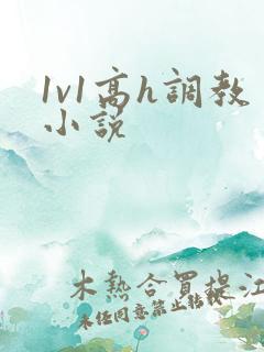 1v1高h调教小说