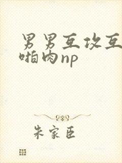 男男互攻互受h啪肉np