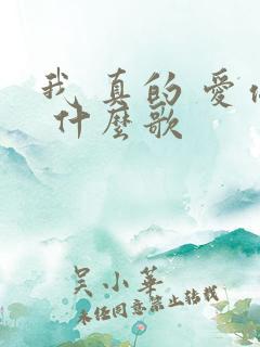 我 真的 爱你 什么歌