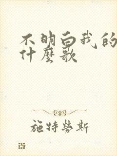 不明白我的爱是什么歌